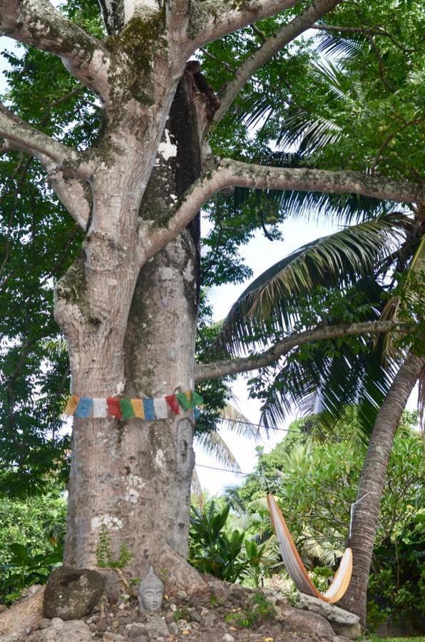Fare Om Pihaena Exterior foto